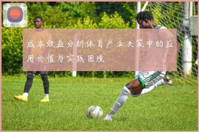 成本效益分析体育产业决策中的应用价值与实践困境