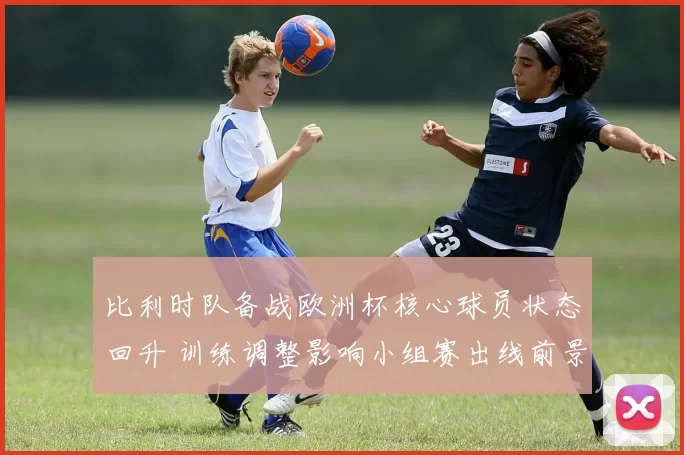 比利时队备战欧洲杯核心球员状态回升 训练调整影响小组赛出线前景