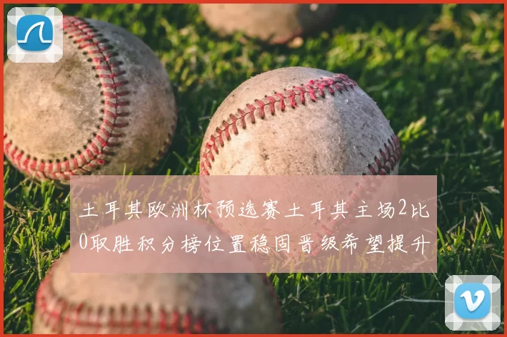 土耳其欧洲杯预选赛土耳其主场2比0取胜积分榜位置稳固晋级希望提升