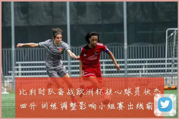 比利时队备战欧洲杯核心球员状态回升 训练调整影响小组赛出线前景
